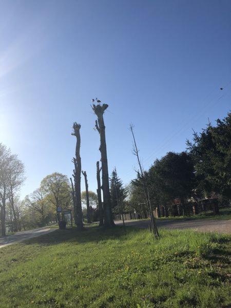 Villa Erika Wicko  Kültér fotó